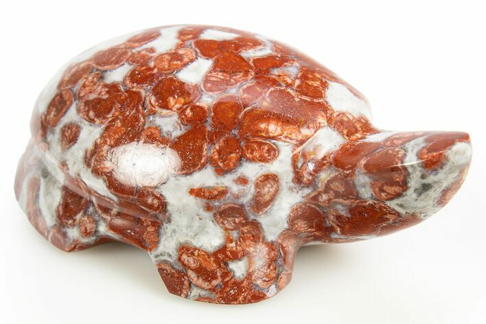 Polished Red Flower Marble Turtle - India #311881